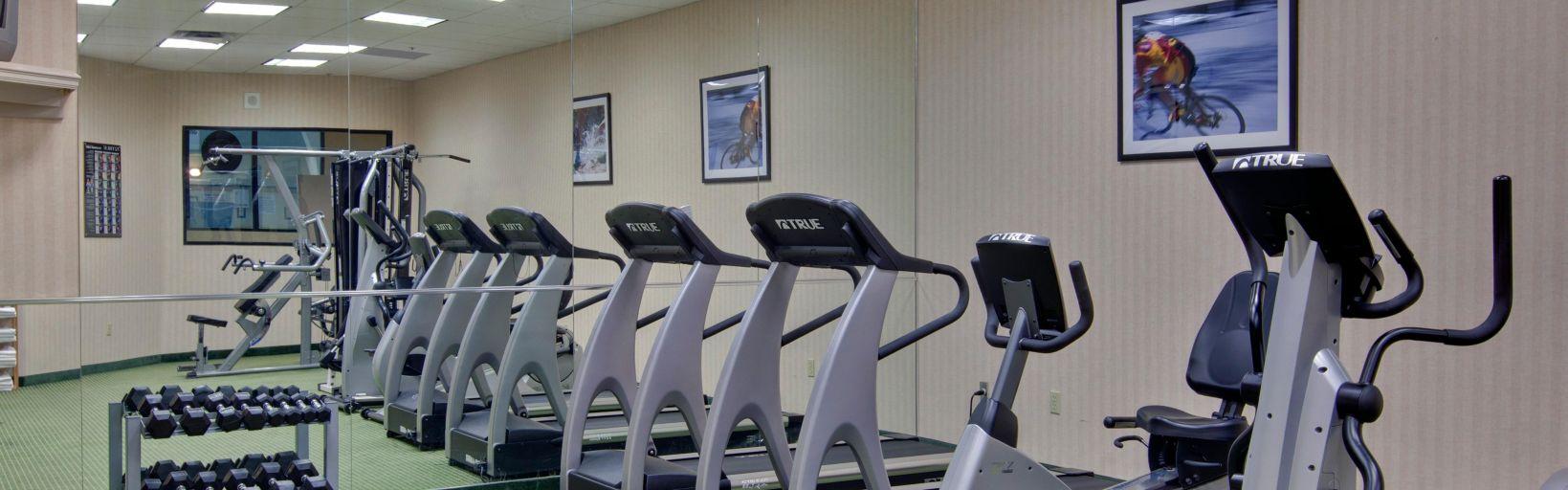 Holiday Inn Windsor - Ambassador Bridge By Ihg Екстер'єр фото